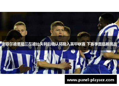 谢菲尔德星期三在德比失利后确认将降入英甲联赛 下赛季面临新挑战