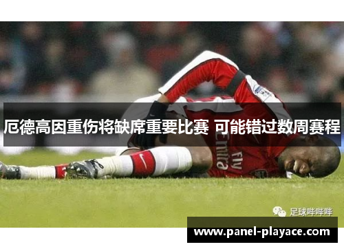 厄德高因重伤将缺席重要比赛 可能错过数周赛程 厄德高因重伤将缺席重要比赛 可能错过数周赛程