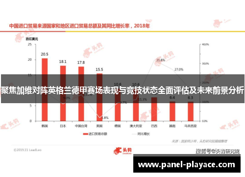 聚焦加维对阵英格兰德甲赛场表现与竞技状态全面评估及未来前景分析